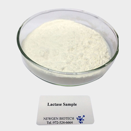 lactase_1660258.jpg