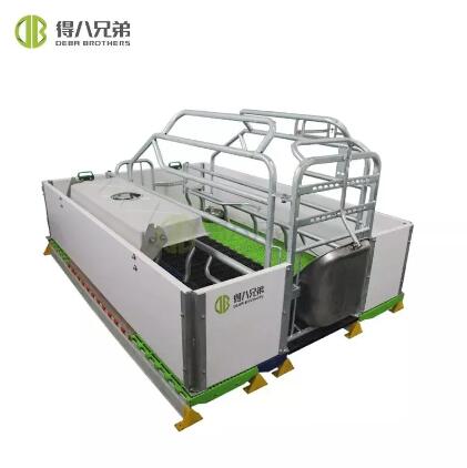 Meeting Standards: Regulatory Requirements and Industry Certifications for European-Style Farrowing Crates