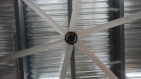 7.3m Giant Fans Manufacturers: Engineering Massive Airflow Solutions for Industrial Applications