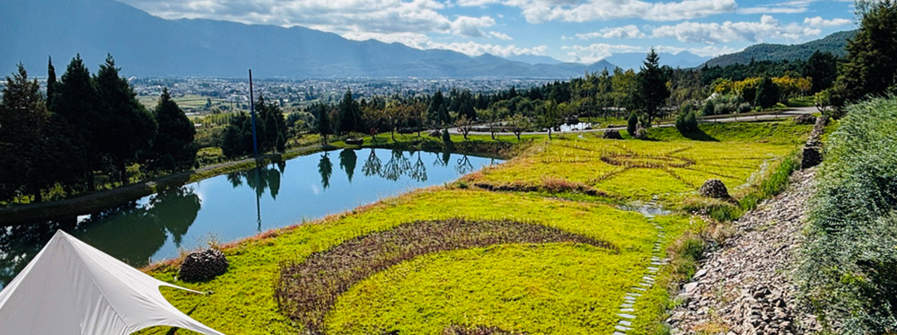 Hidden Attractions Near Jade Dragon Snow Mountain: Lijiang’s Secret Gems