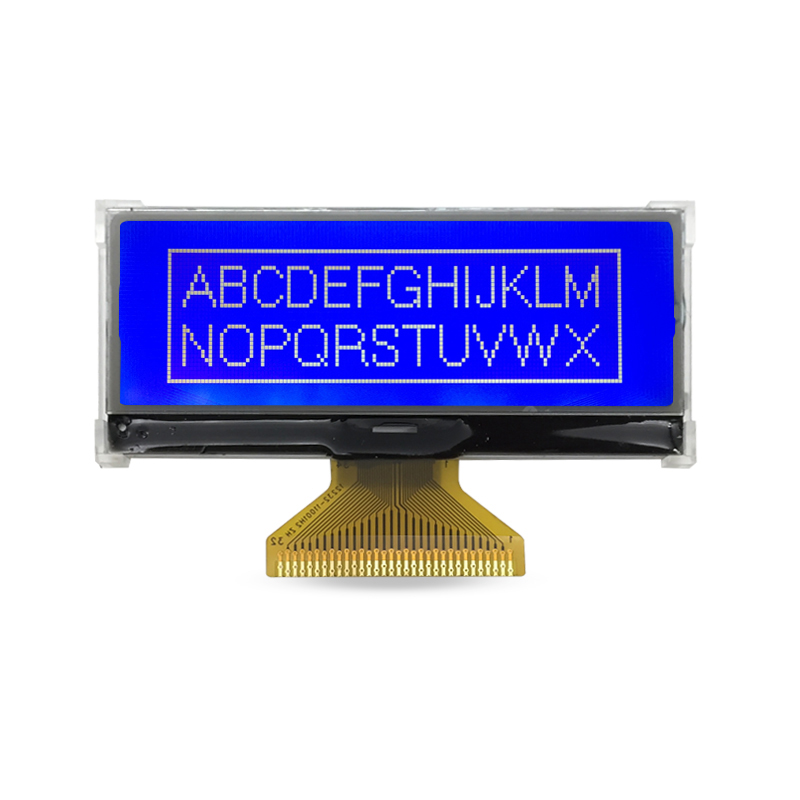 Graphic LCD Display Company Evaluation for Your Next Project