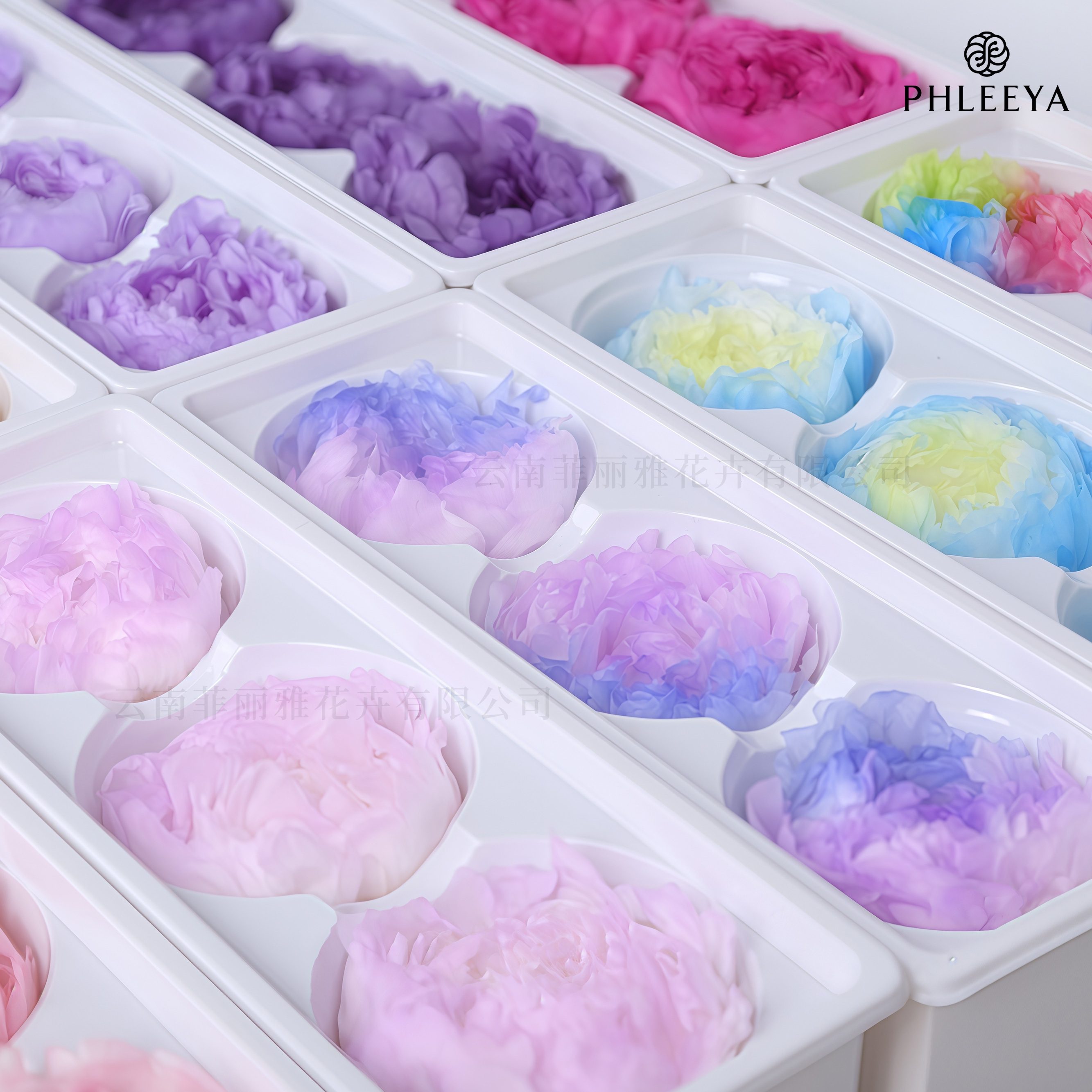 Flower Materials Factory Supplies Premium Floral Essentials for Crafters and Florists